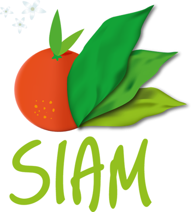 SIAM logo